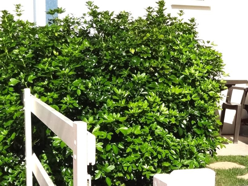 Colocation 2 personnes 34m², 395€CC, St-Nazaire