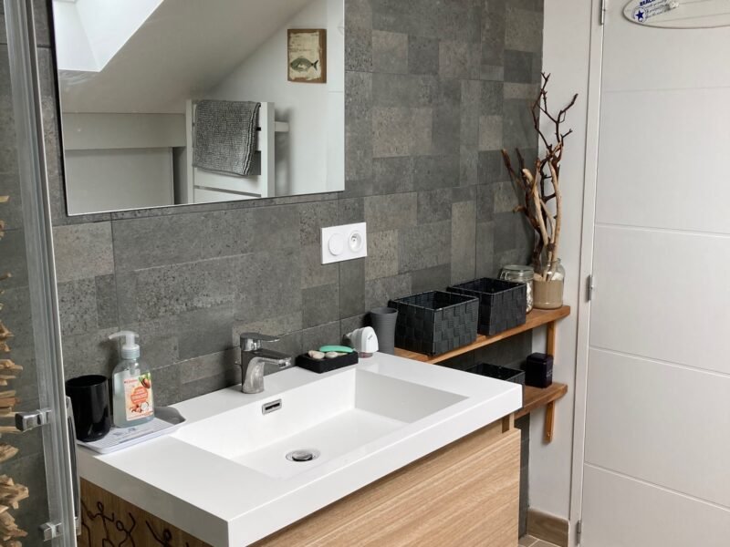 1 chambre en coloc 400€, Saint-Marc