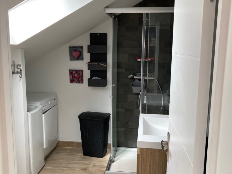1 chambre en coloc 400€, Saint-Marc